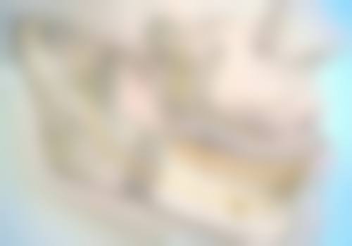 朱丽医生的技术特点