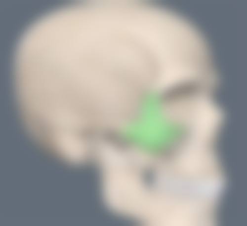 黄余芝医生执业信息