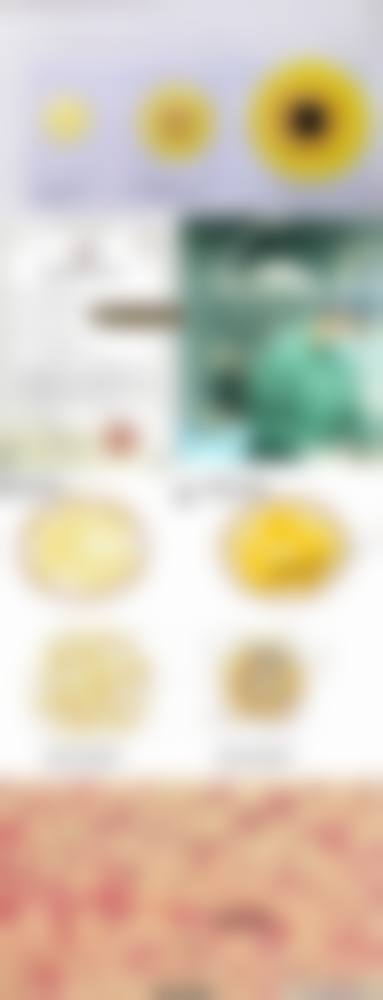 沧州蓝途整形医院医生名单