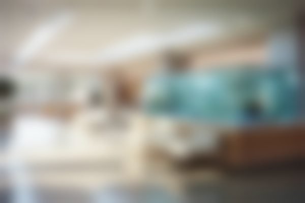 上海交通大学医学校附属瑞金医院卢湾分院美容外科医生名单