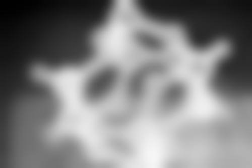 西宁交通医院预约挂号方式