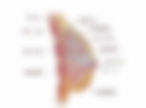 北京禾美嘉医疗美容的抽脂怎么样？