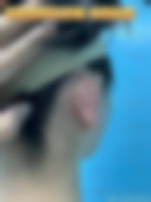 宁波市卓美医疗美容门诊部医生名单