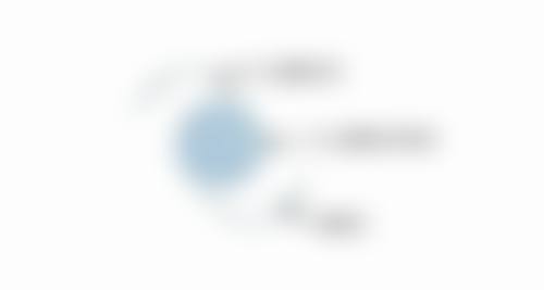 森本亚玲擅长项目