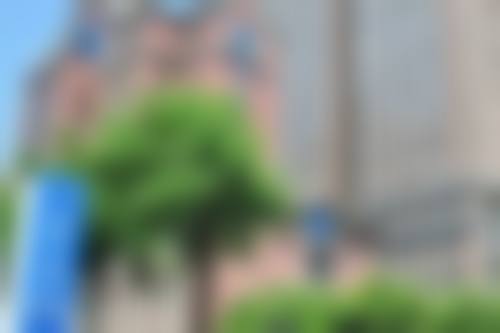 余茜老师的“团队阵容”：独树一帜的教学先锋