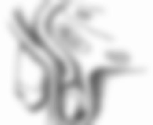 余茜老师的执业信息：专精与具有影响力的象征