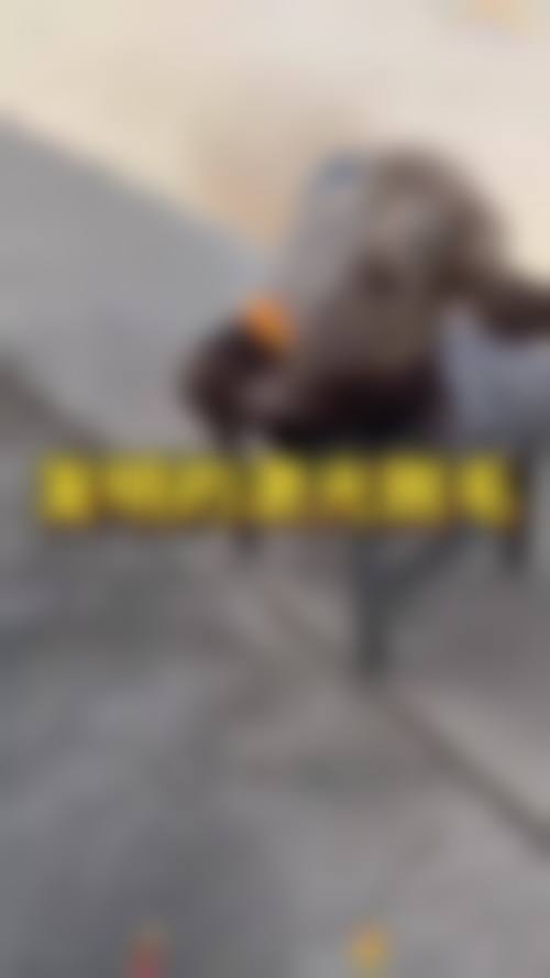 临沂东方医疗美容诊所真实实例:见证美丽蜕变