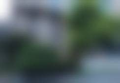 上海颜范马磊医生口碑评价