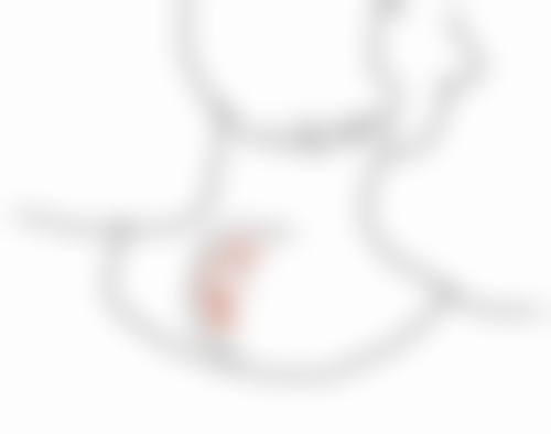 佛山芭莎美医疗门诊部医生名单