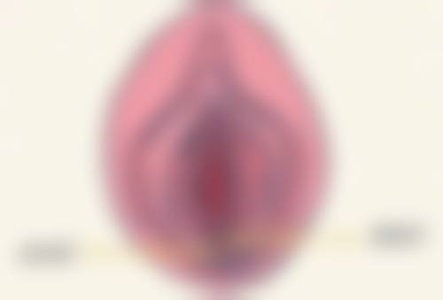 北京禾美嘉医疗美容的阴道紧缩手术靠谱吗？