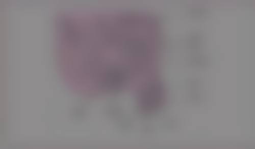 北京西 京中医医院医生名单:医生汇聚,实力超群