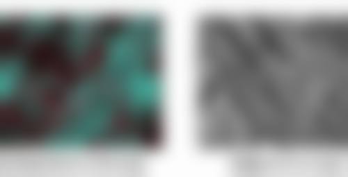 孟宪亚医生看诊优势