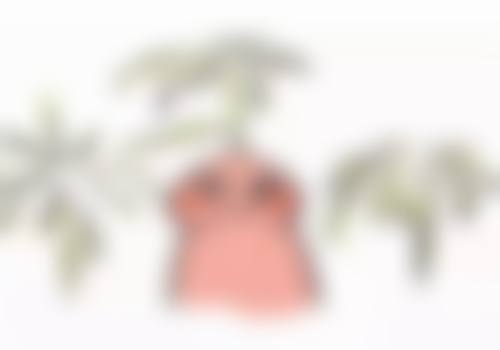 刘思学医生的坐诊医院大探秘