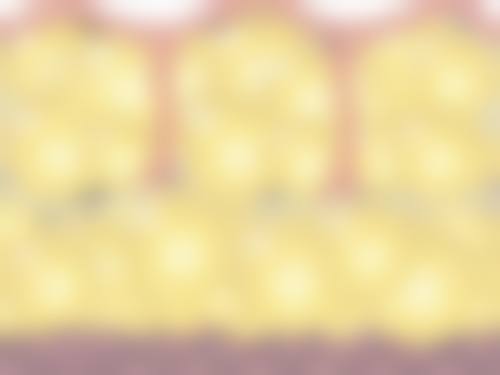 妇产王慧医生荣誉资质