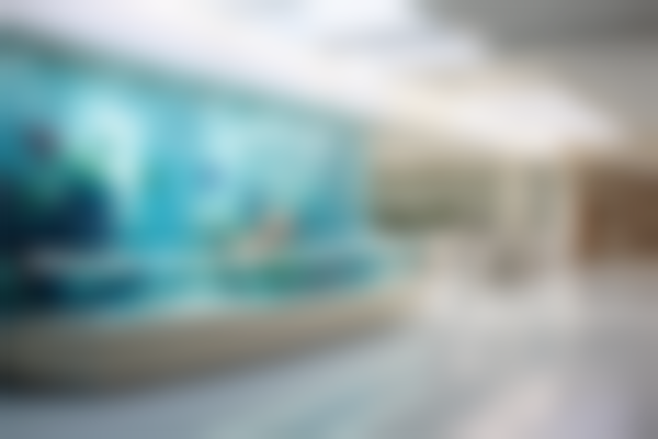 宁德市闽东医院烧伤整形外科