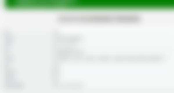 总结与决策建议