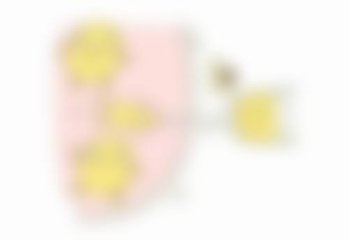 国字脸打瘦脸针靠谱吗