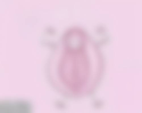 龙鹰院长独特的技术特点