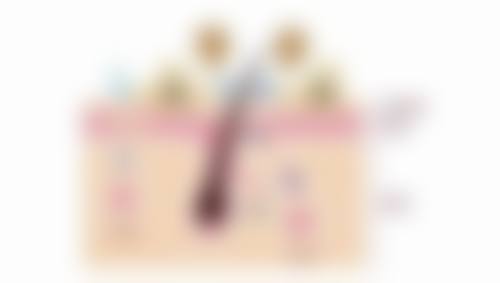 吉林大学第二医院民康医院地址及乘车路线