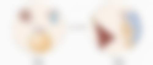 吴艾竞院长的荣誉资质