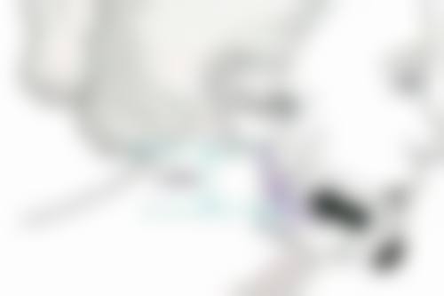 两个内双能生出双眼皮吗？科学揭秘：内双父母生出双眼皮宝宝的概率及遗传真相！ 