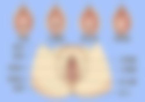 姜眞姬口碑评价：求美者的一致好评