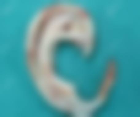 北京王瑛整形医疗美容诊所价格表