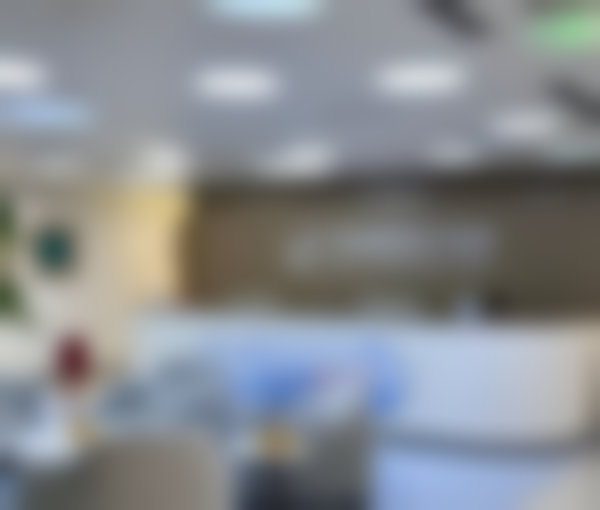 总结与决策建议