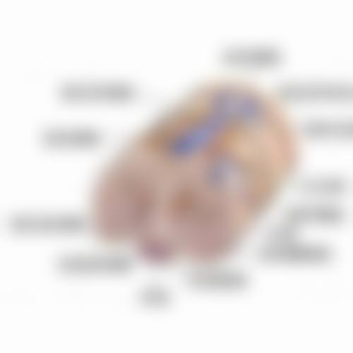 深圳罗湖博爱曙光医院真实实例