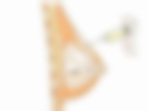 孙淑华医生技术特点