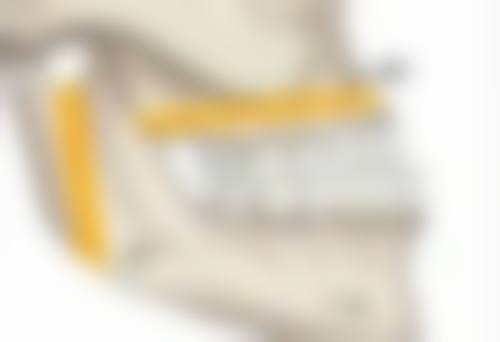 韦清洁医生看诊优势：贴心个性化服务