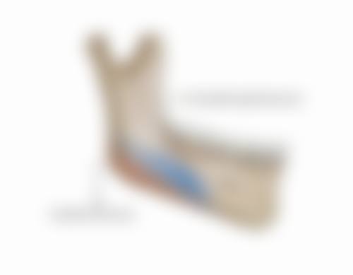 金卫医生技术特点