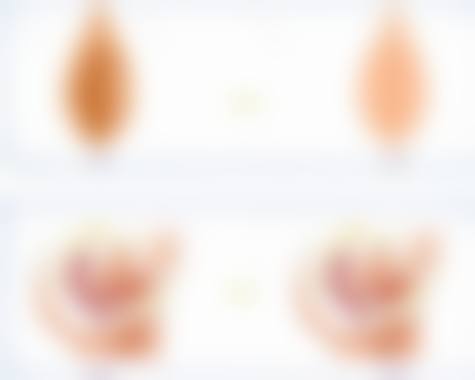 日本MAXFACS GINZA美容整形医院电话号码