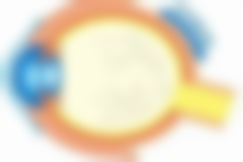 蒋红医生坐诊医院