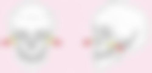 刘丽敏医生技术特点:精细与创新的融合