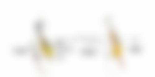 隆鼻子能保持一辈子的秘诀是什么