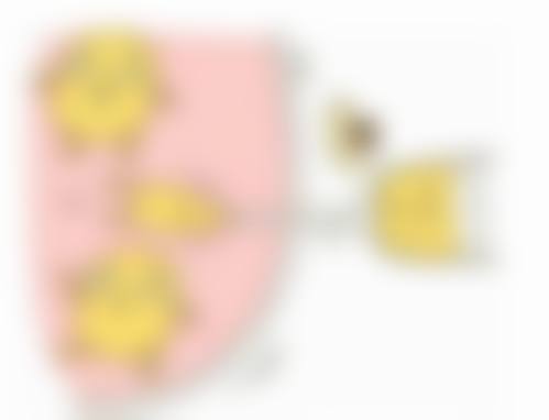 上海宸妃医学美容医院赵会平医生技术特点