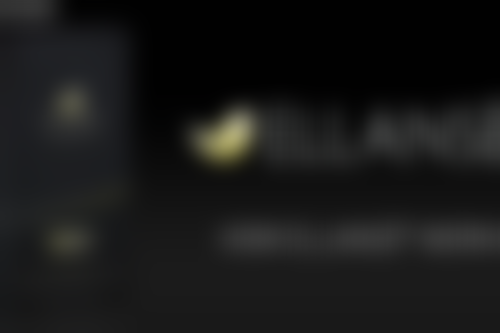 上海宸妃医学美容医院赵会平医生擅长项目