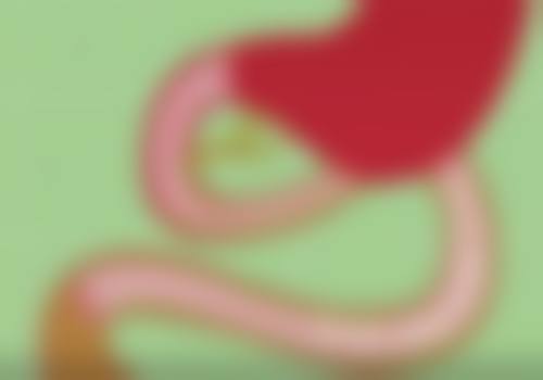 方维主事的技术特点