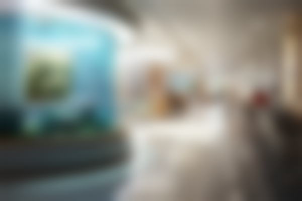 海口谷力医疗美容诊所