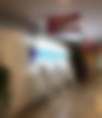 总结与决策建议