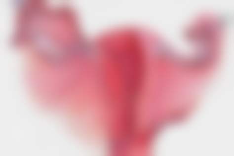 田顺医生怎么预约挂号：轻松开启变得更美之旅