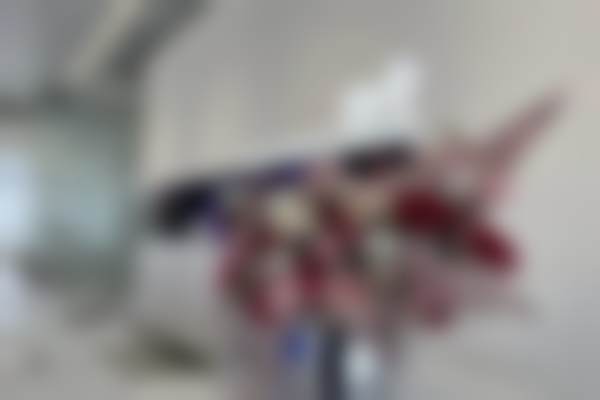 延安颜术医疗美容诊所电话号码