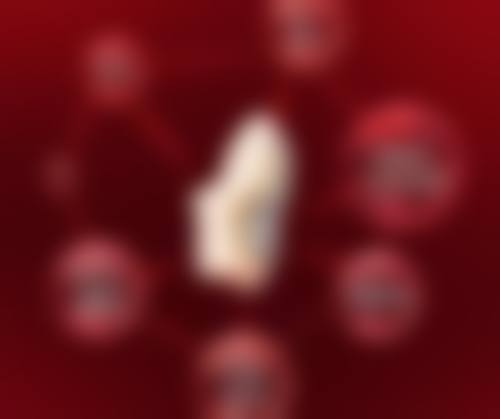 南苑医院预约挂号方式：多种途径，轻松预约