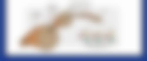 许昌正美韶华医疗整形韦婷医生的技术靠谱吗？