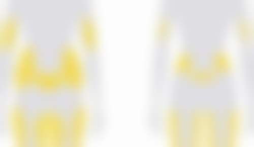 米圣主事的荣誉资质