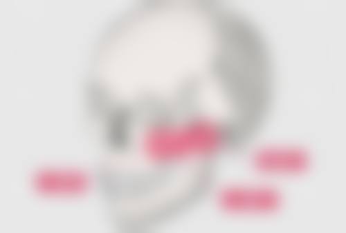 裴少革真实实例