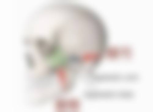 南阳马磊医生怎么预约挂号