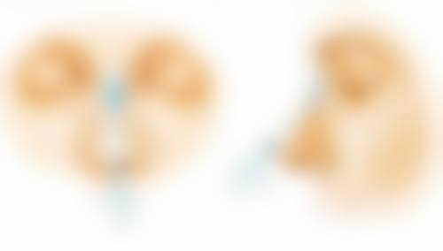 韩国罗然韩医减脂医院医生名单