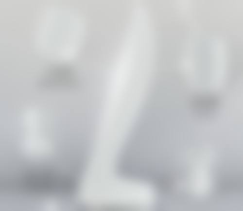 袁相斌医生荣誉资质